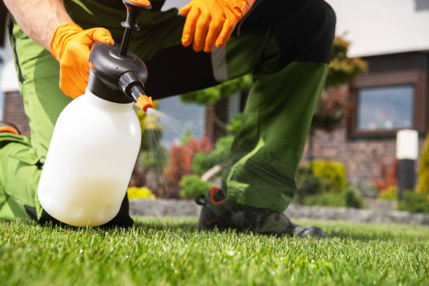 Best Bed Bug Extermination  in Baidland, PA
