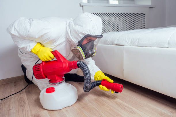 Best Termite Control Services  in Baidland, PA
