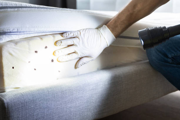 Best Cockroach Control Services  in Baidland, PA