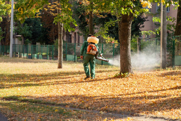 Pest Control for Restaurants in Baidland, PA