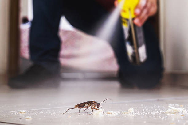 Best Exterminator Services  in Baidland, PA
